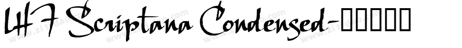 LHF Scriptana Condensed字体转换